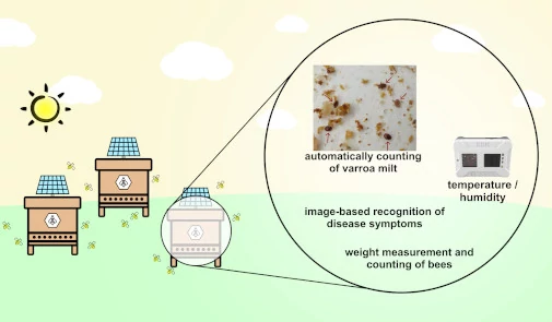 Zeichnung einer Bienenwabe mit Details wie Sensoren